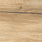Daring Honey 24x120