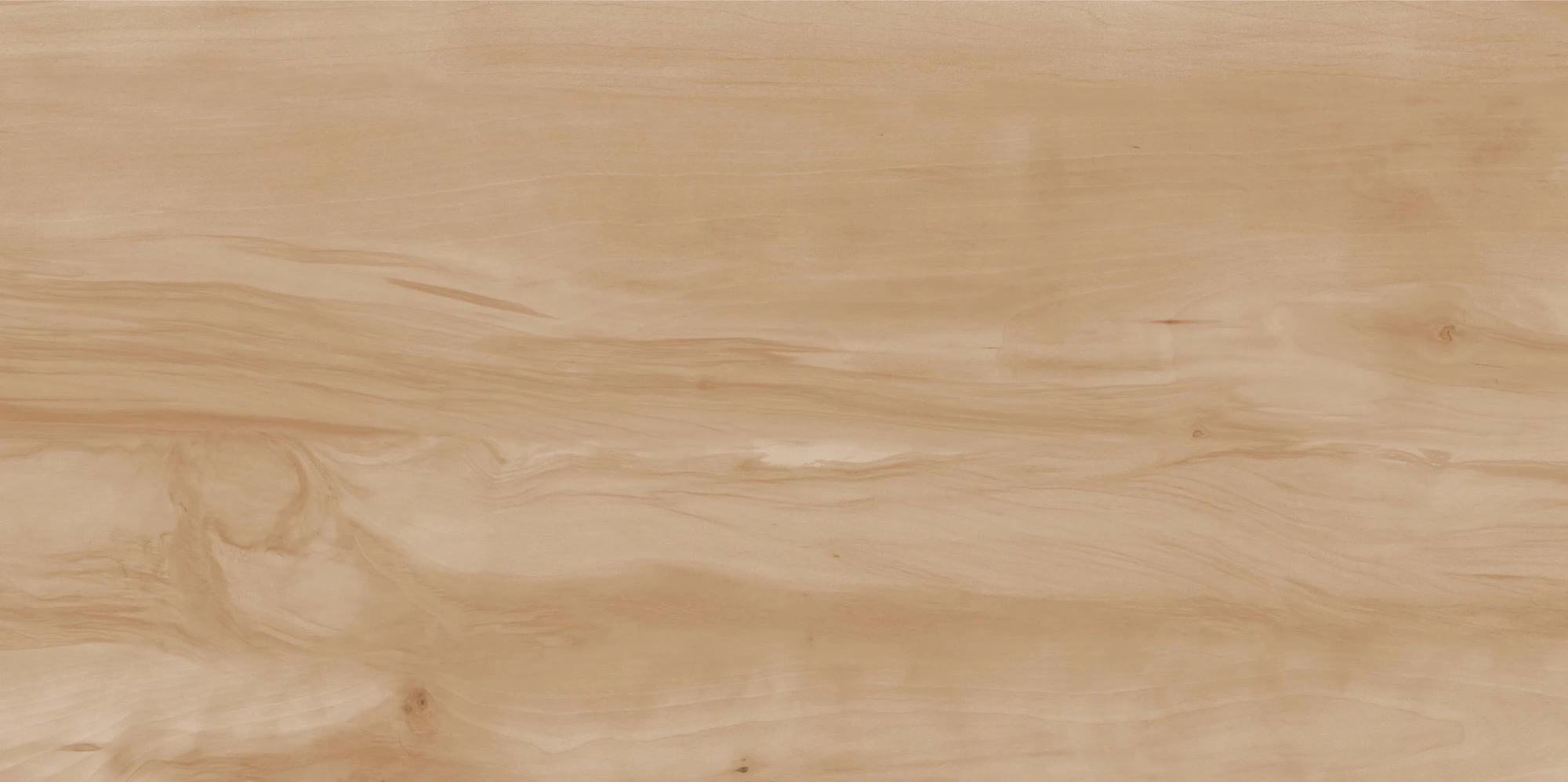 Paint Wood Bone 60x120 матовая