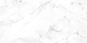 Marble Carrara Blanco Liso Matt 60X120