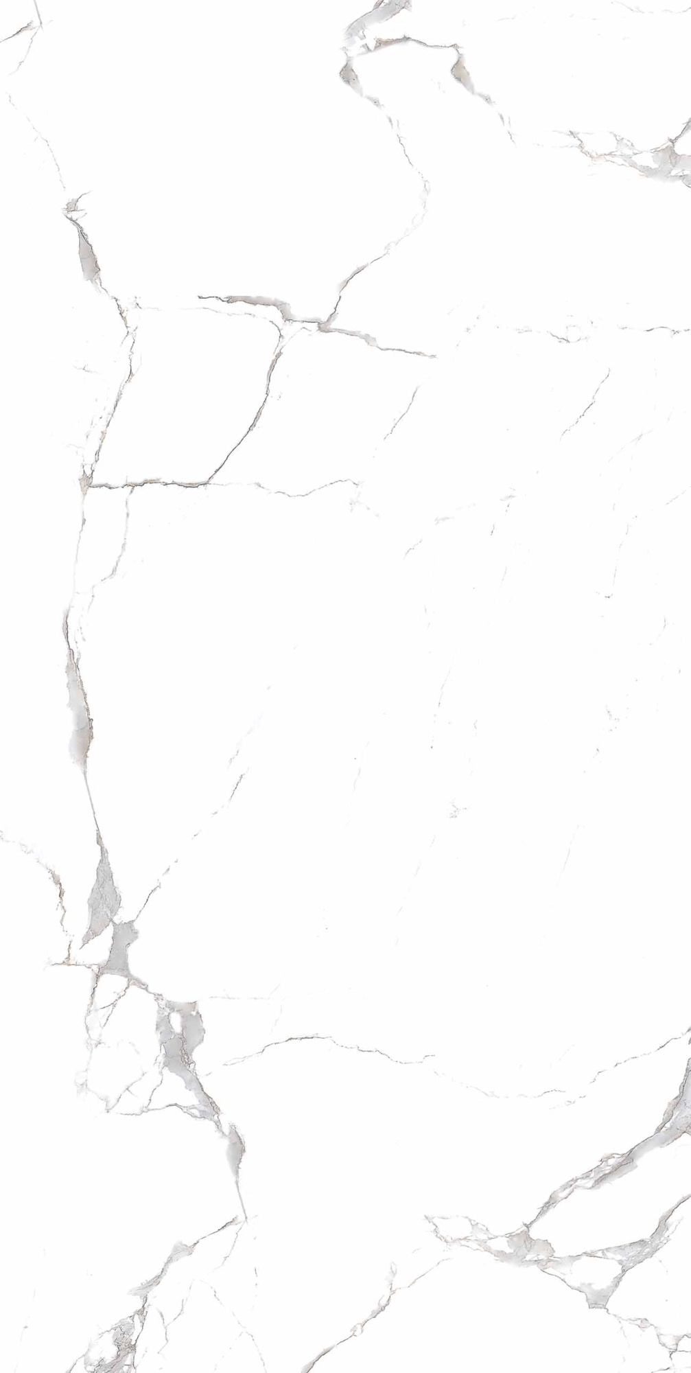 Emmy White Polished 60X120 полированная