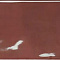 Earth Wine Gloss 7.5x30