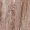 Soft Brown 15x100