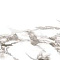 24,2x70 ROYAL BIANCO