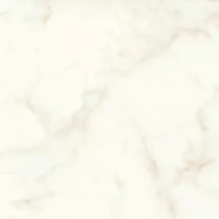 Marvel Shine Calacatta Delicato Silk Satt 60X60