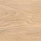 Cocoon Bliss Cadence 20x120