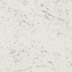Charme Extra Carrara Spigolo A.E. Glossy 1X1