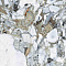 Citymarble Amazon Multicolor  Rectified 60X120
