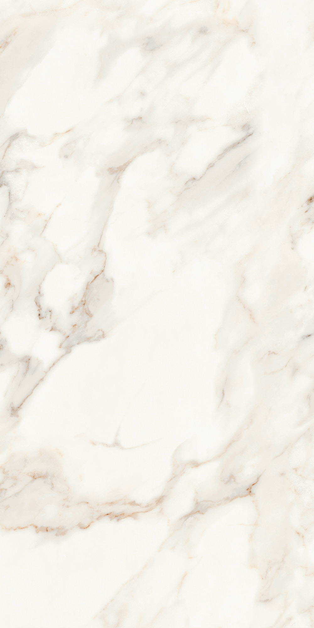 Calacatta Polished 60X120 полированная