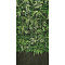 ABK Wide & Style 0009562 Secret Garden Wall 120x280