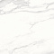 Calacatta Superb White Satin Polished 60x120