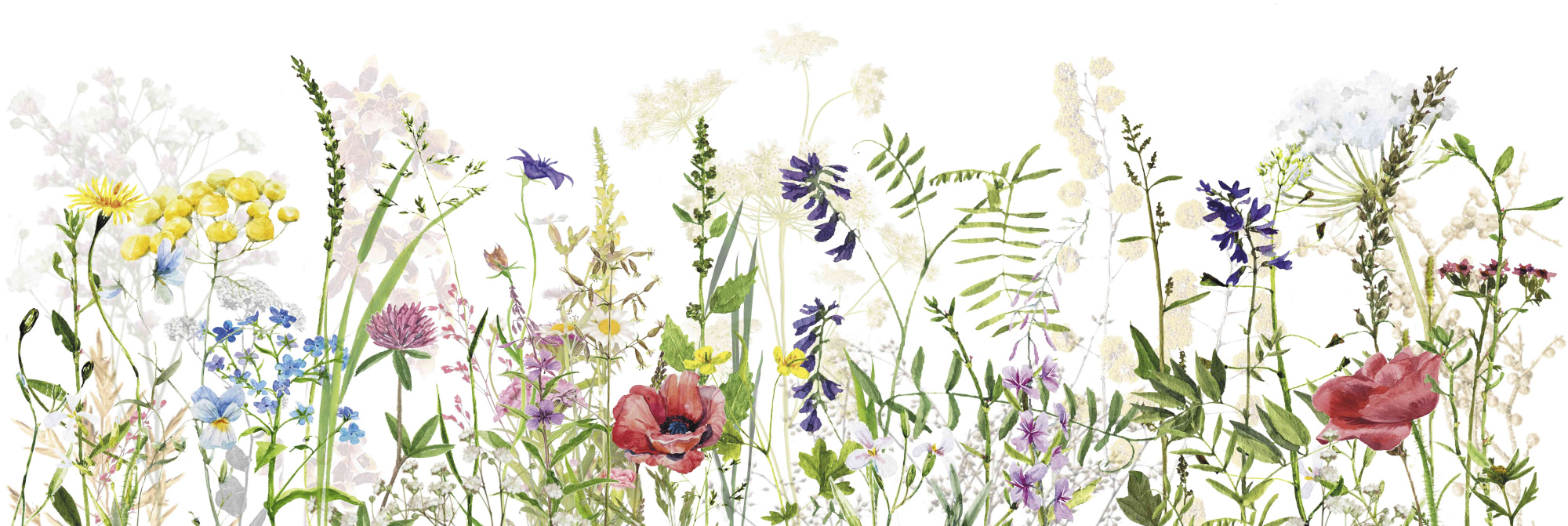 Flora Bloom 20X60 матовая