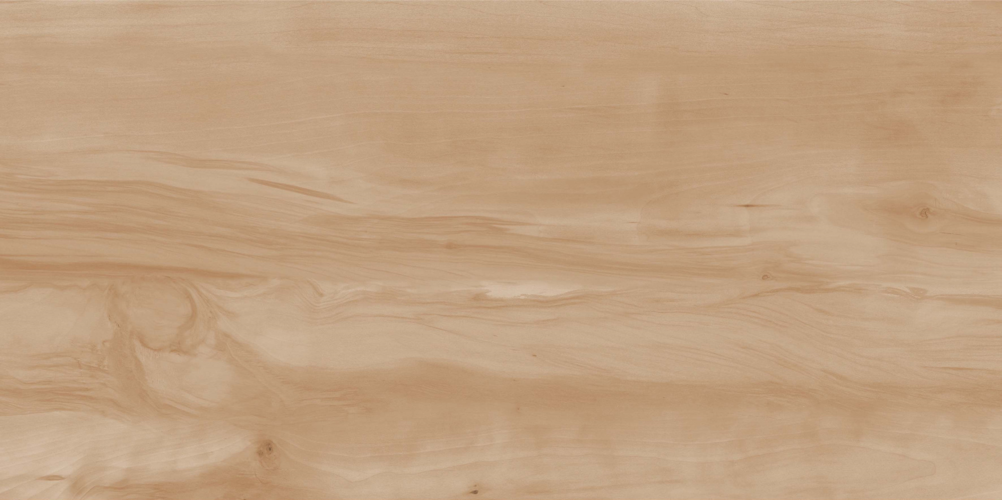 Paint Wood Bone Gloss 60x120 глянцевая