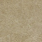 Lastra 12B 60x120