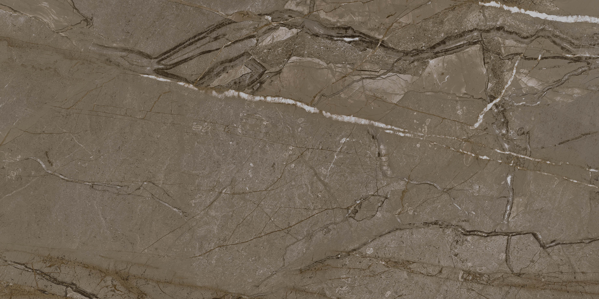 Sierra Vizon 60X120 матовая