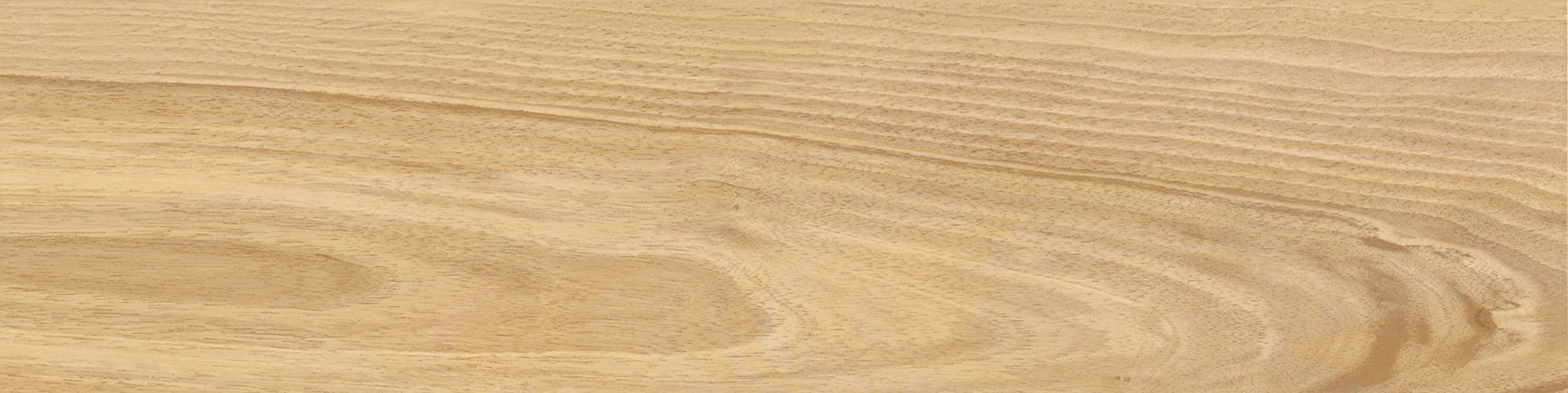 Maison Champagne 120X30 матовая