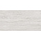 Provenza Unique Travertine EJ7F Vein Cut Silver Nat 60x120