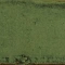Alchimia Olive  7.5X30