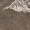 Riverstone Kronos Brown Digital Satin 60x120