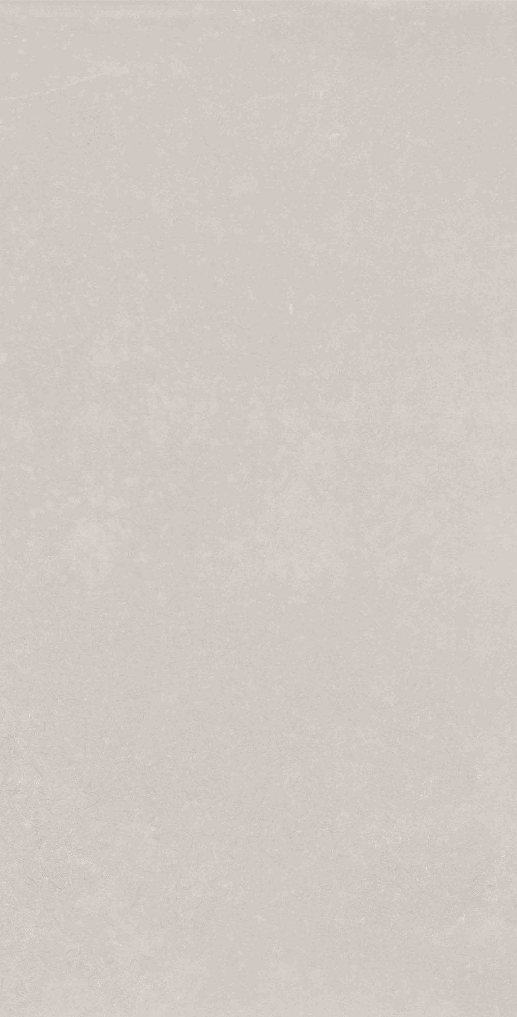 Mon Garden Silver 30X60 матовая