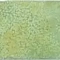 Enamel Moss  5X25