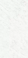 Marmi Classici Bianco Carrara Levigato Silk Ret Lapp 120X60
