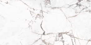 Pure-Marble-Spider-White-60x120
