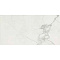Cerim Ceramiche Timeless 744884 Calacatta Luc Ret 120x60