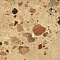 Ceramica Fioranese I COCCI SICILIANI Naturale 60,4x120,8