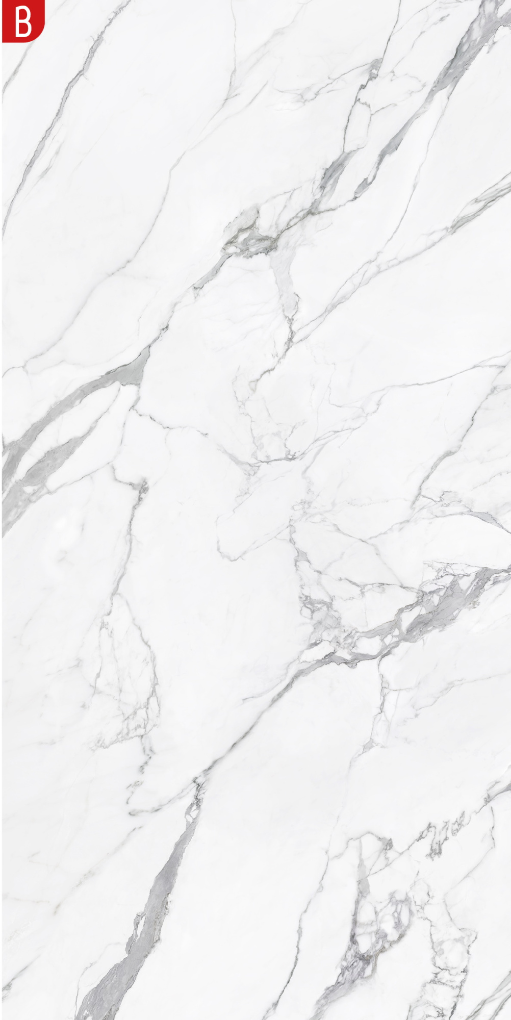 Marmo E Pietra Statuario Reale Natslab B 163X323
