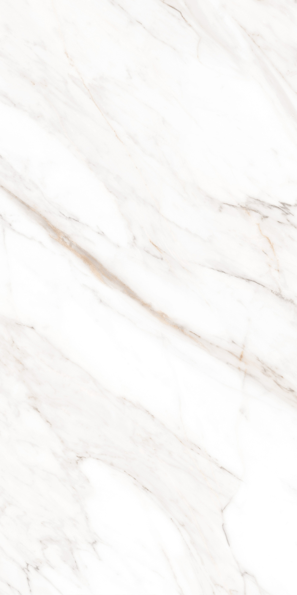 Calacatta Gold Polished 60X120 полированная