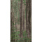 ABK Wide & Style 0007328 Woods A 160x320