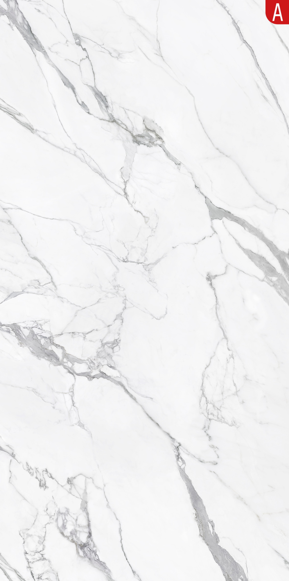 Marmo E Pietra Statuario Reale Slab A 163X323