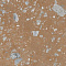 Yourself Earth Bubble 60x120