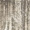 Ylico Wood Fog 120X278