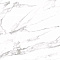 Carrara Dove high glossy 79.8x159.8