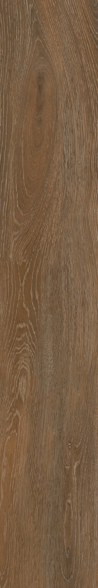 Forest Ocher 19,4X120 . матовая