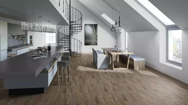 Gallery_47