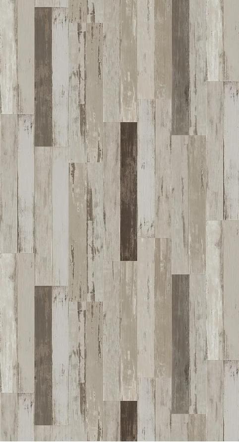 Plank_6