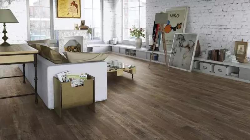Gallery_15