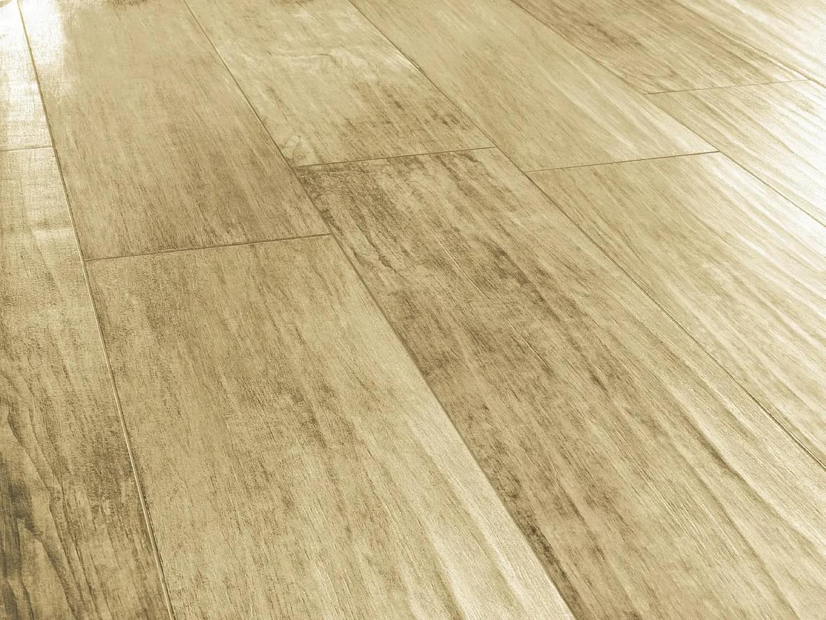 Plank_14